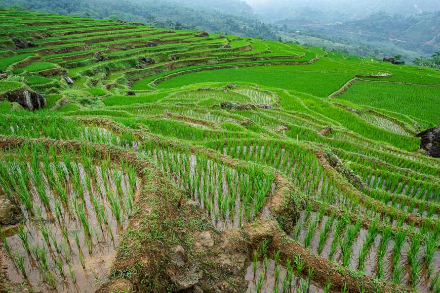 Where to Discover Hidden Gems in Vietnam 12 sustainable travel Vietnam