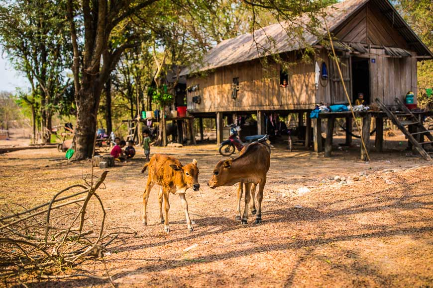 Where to Discover Hidden Gems in Vietnam 8 offbeat Vietnam