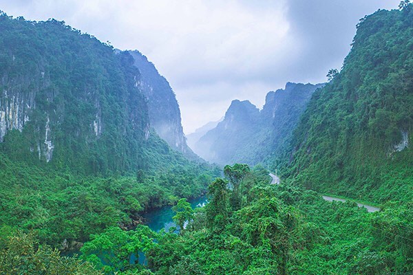 The 5 Most Famous National Parks of Vietnam 8 Phong Nha Ke Bang National Park - Photo: @phongnhakebangnationalpark