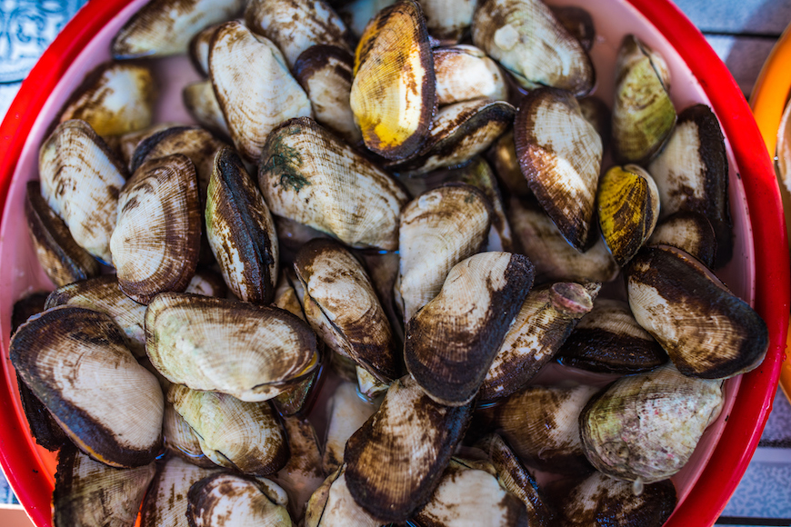 Seafood