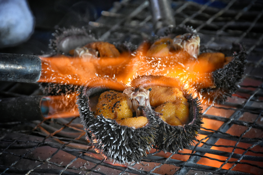 Delectable Sea Urchins cooking over hot coals.