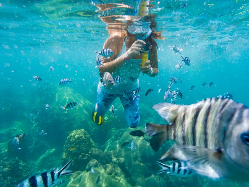 Snorkeling and Diving in Phu Quoc