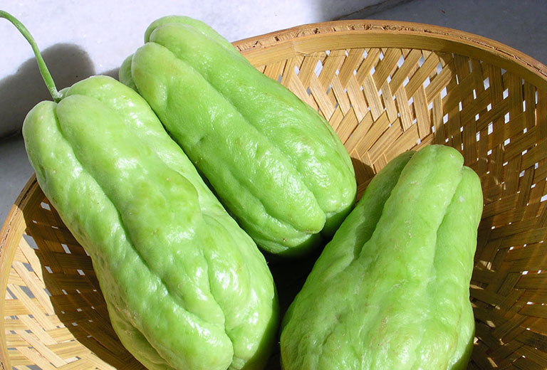 Su Su / Chayote