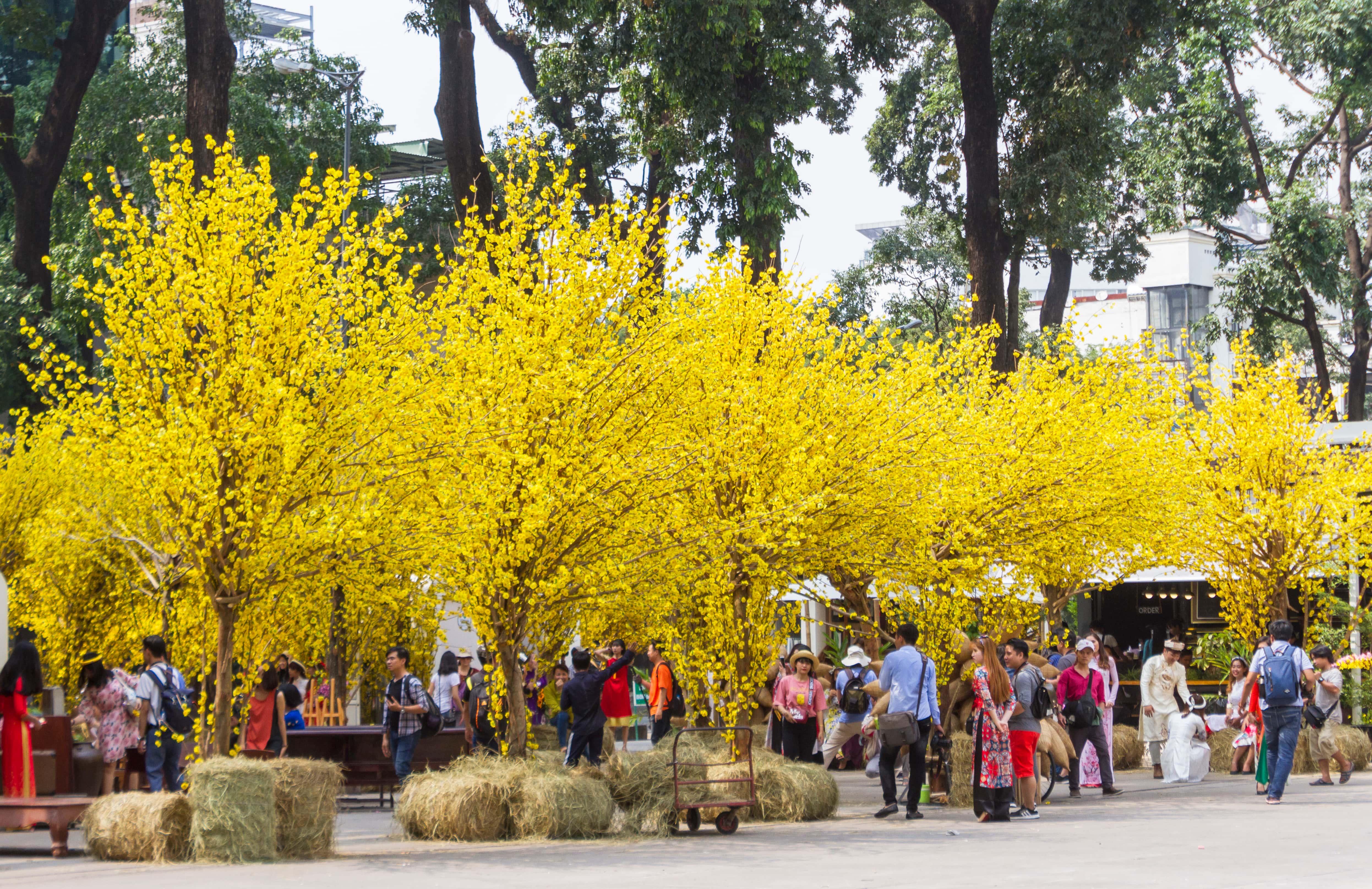 TET holidays in Ho Chi Minh city