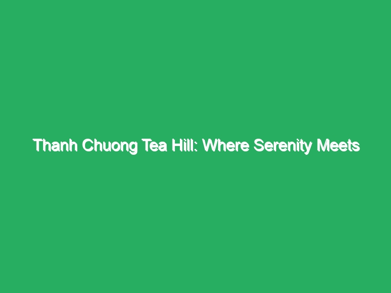 thanh chuong tea hill where serenity meets rustic charm 18938