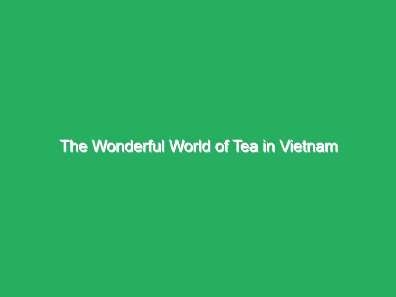 the wonderful world of tea in vietnam 19836