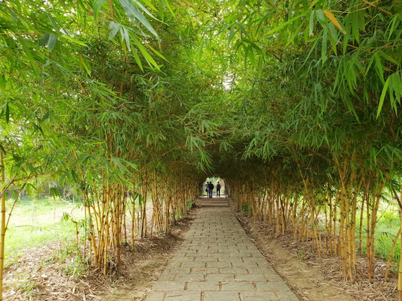 Thuy Bieu Village