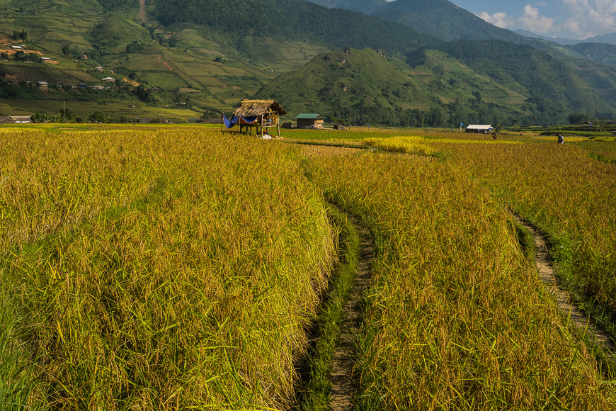 4 Things You'll Fall in Love with in Mu Cang Chai 9 Undiscovered Hiking Trails