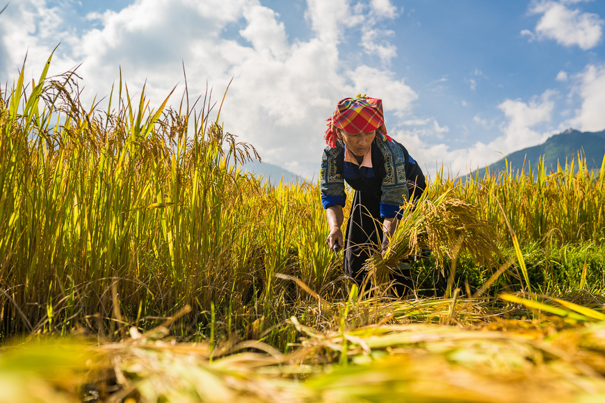 4 Things You'll Fall in Love with in Mu Cang Chai 7 Vibrant Hmong Culture
