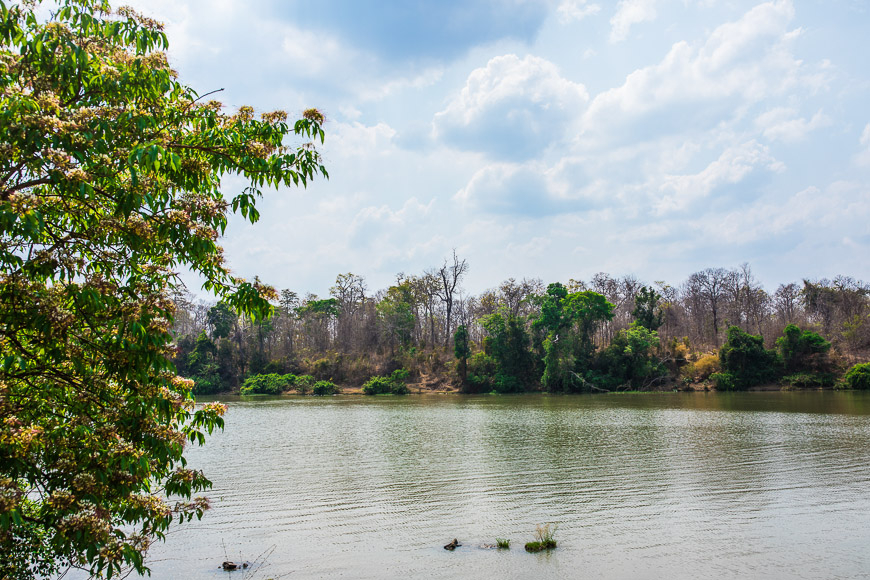 Vietnam's First Ethical Elephant Experience: A Window into the Extraordinary World of Elephant Behavior 8 The Srepok River in Yok Don National Park