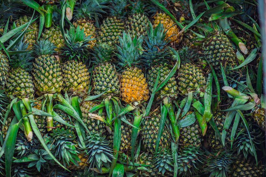 5 Reasons Can Tho Will Steal Your Heart 7 Mekong Delta tropical fruits