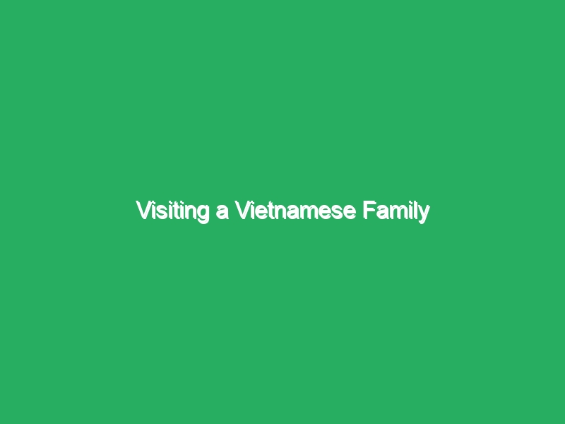 visiting a vietnamese family 20869