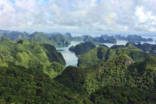 Cat Ba National Park