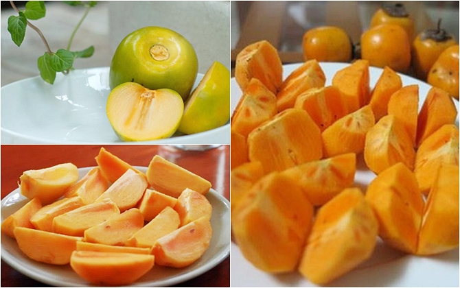 vno-persimmon1