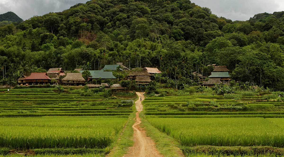 Explore the Enchanting Pu Luong Natural Reserve 8 Photo: phuotvivu.com