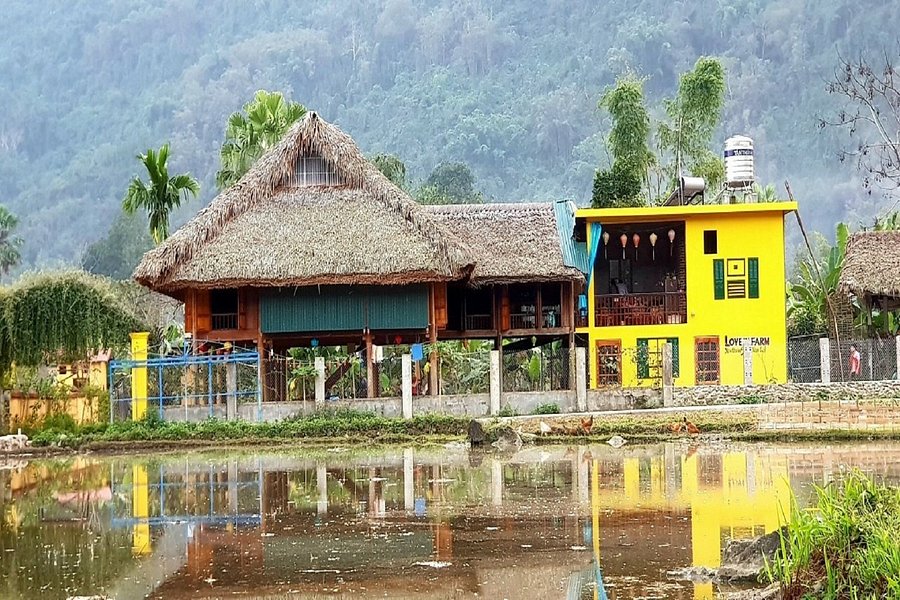 vno-yen20bai20-20xoi20farmstay