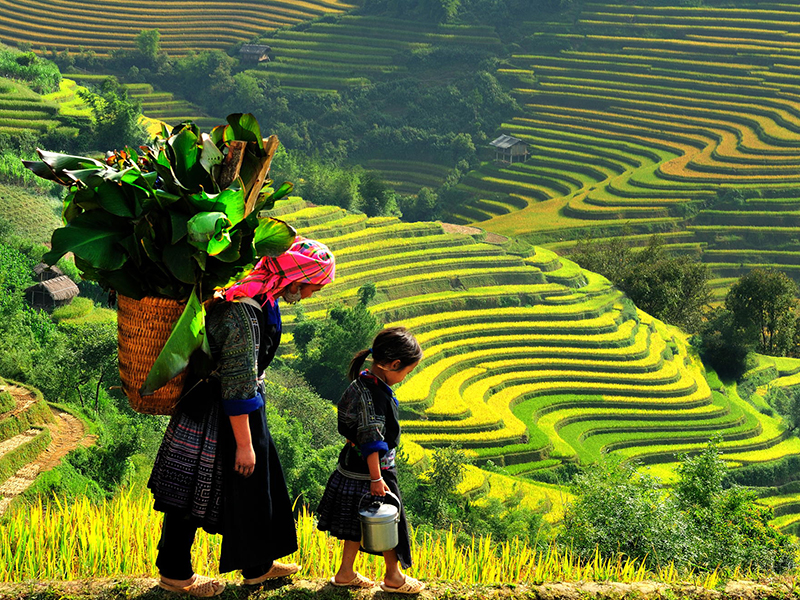 Ta Phin Village: Exploring the Vibrant Traditions of the Red Dao 3 vno20taphin2