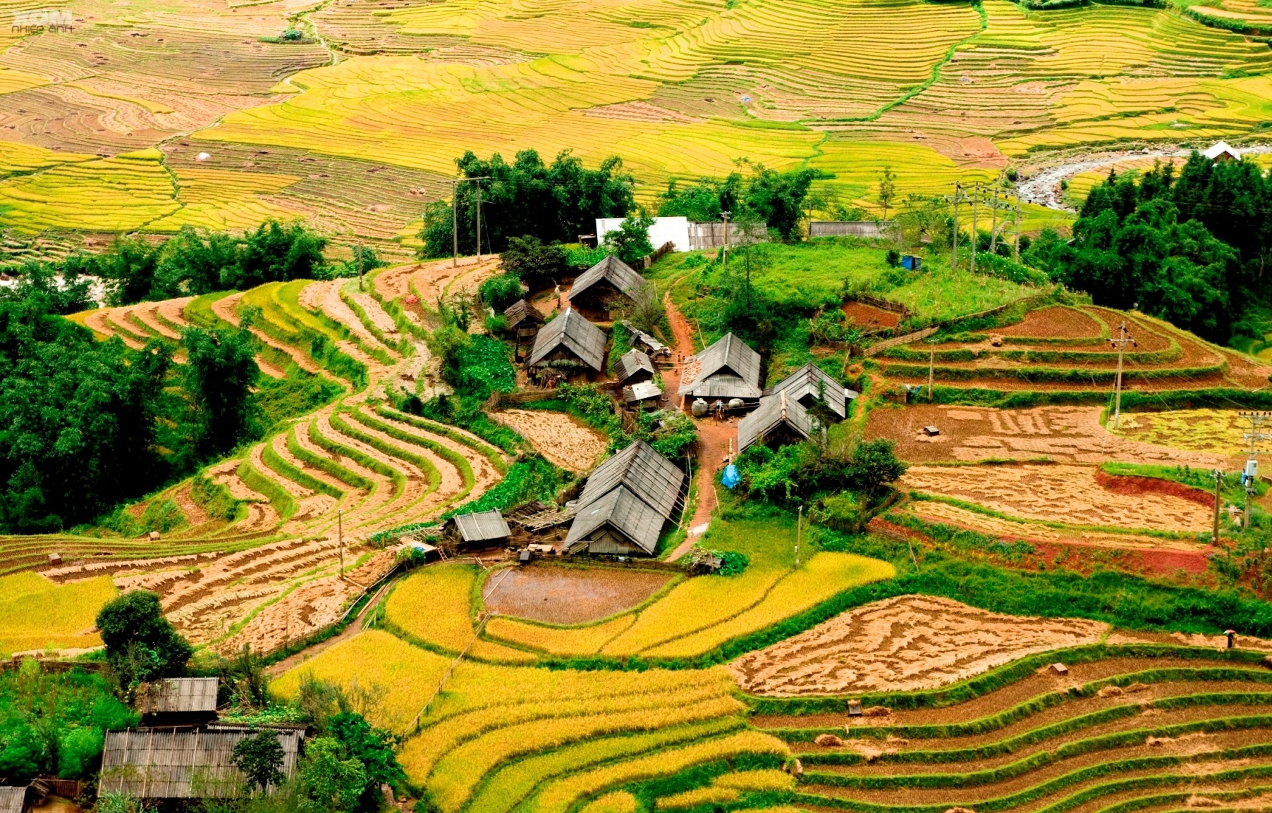 Ta Phin Village: Exploring the Vibrant Traditions of the Red Dao 4 vno20taphin3
