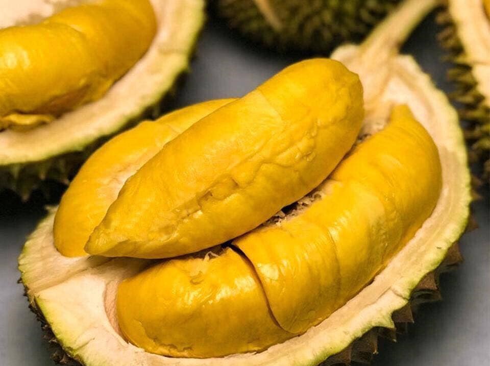 vno_durians