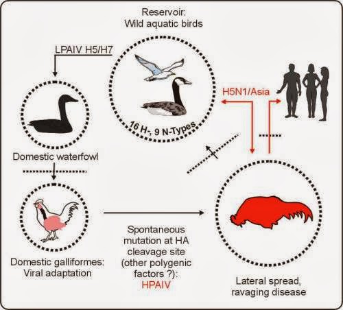 Common Diseases and How to Prevent 2 Photo: Internet
