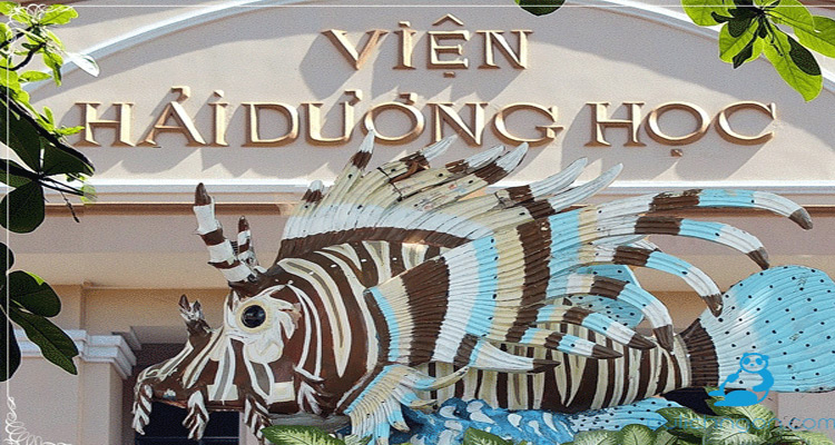 Oceanographic Museum of Vietnam 4 vno_hd1_poo2zh4