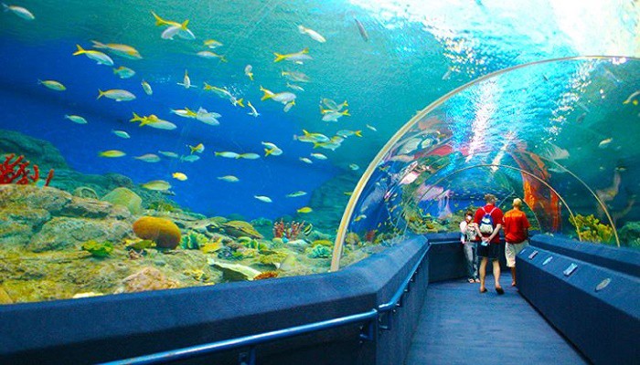 Oceanographic Museum of Vietnam 6 vno_hdh2_izpui05