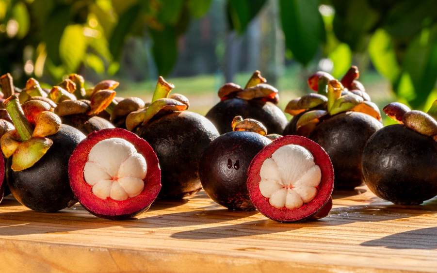 vno_mangosteens1