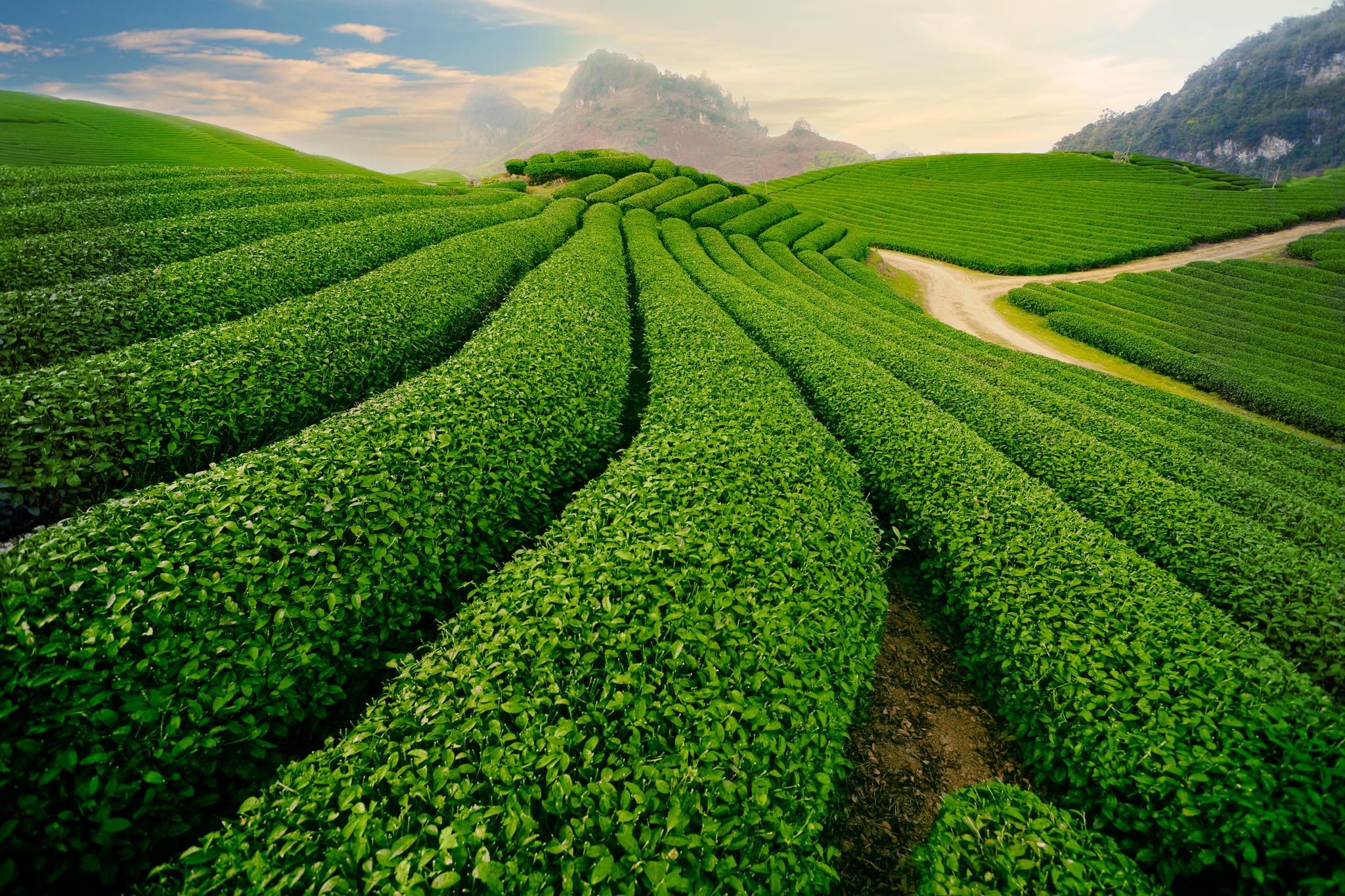 Explore the Enchanting Beauty of Moc Chau Highland 4 Moc Chau