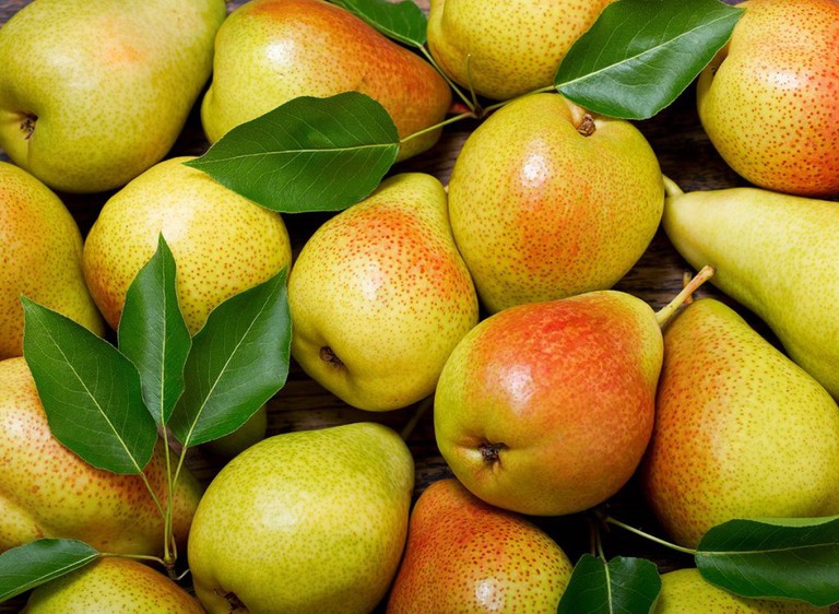 Pears: A Taste of Vietnam's Tropical Paradise 13 Benefits of Pears
