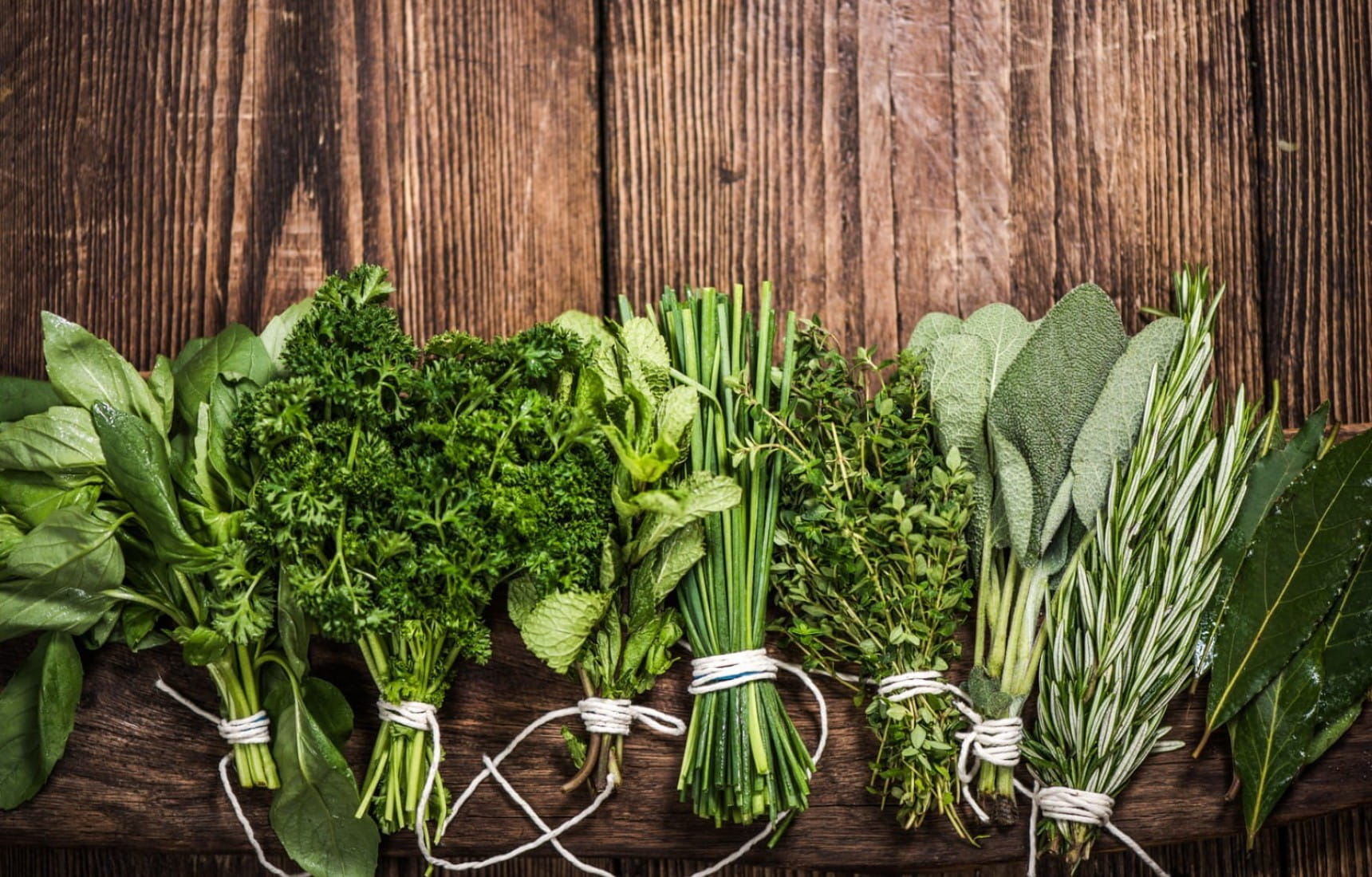 Vietnamese Herbs: A Culinary Delight 4 vno_vietnamese20herbs1
