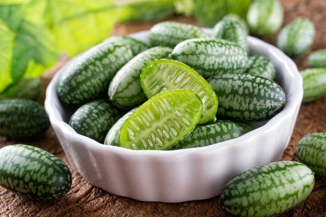 vno_watermelon2