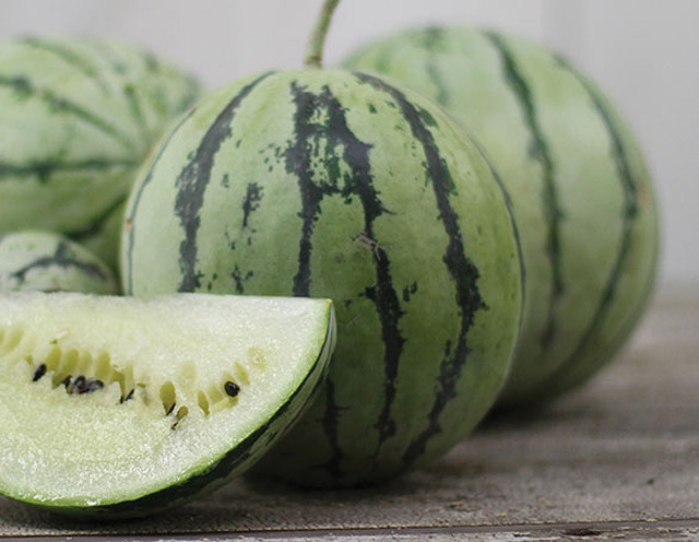 vno_watermelon3