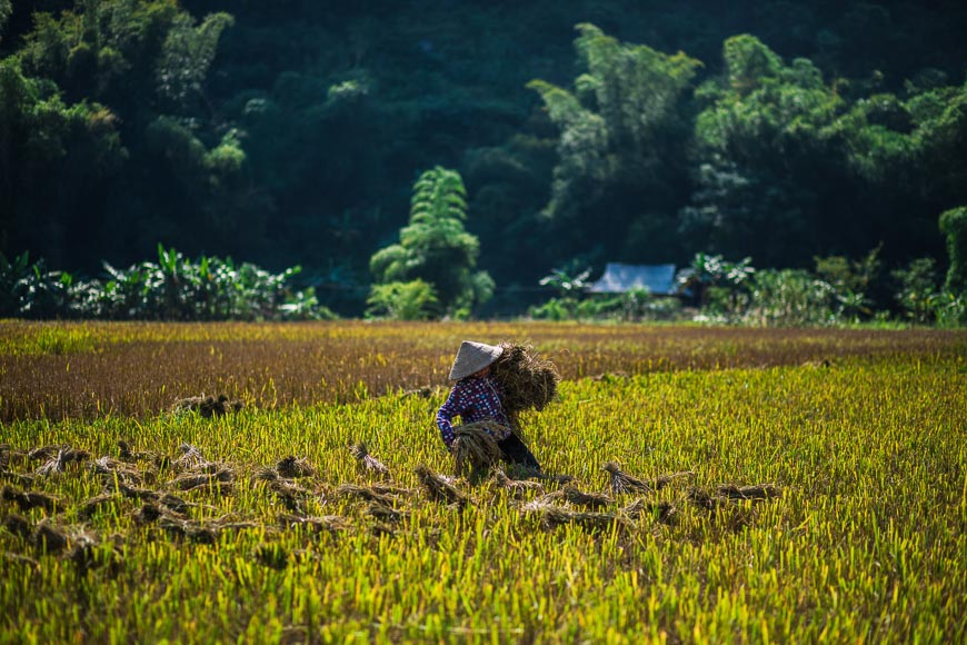 Monthly guide Vietnam travel